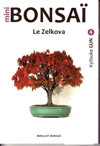 mini-bonsai_zelkova