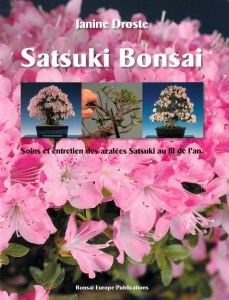 Satsuki bonsai janine droste